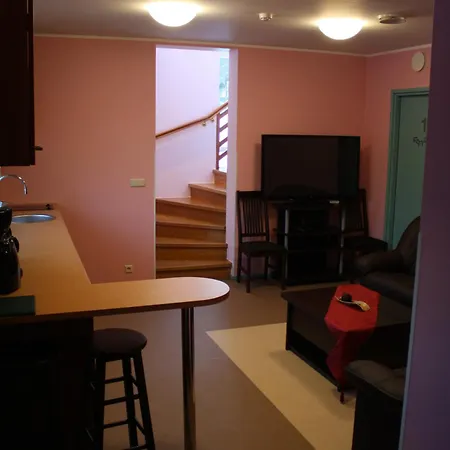 Korter Tehvandi Puhkemaja *